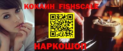 скорость Дубна
