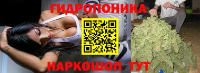 скорость Дубна