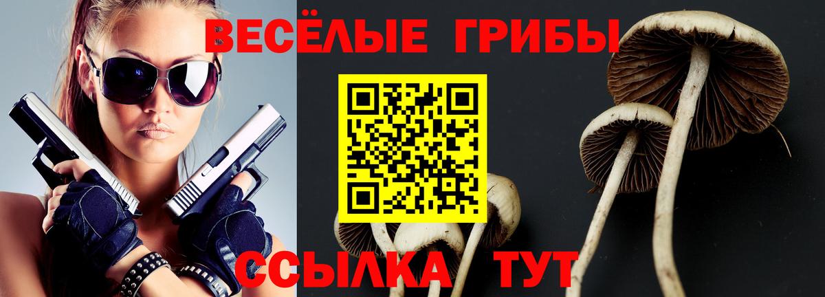 Галлюциногенные грибы Cubensis  Псилоцибиновые грибы GOLDEN TEACHER  Луховицы  Вход с VPN 